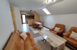 Casa individuala 4 camere, 200 mp, zona Horodnic