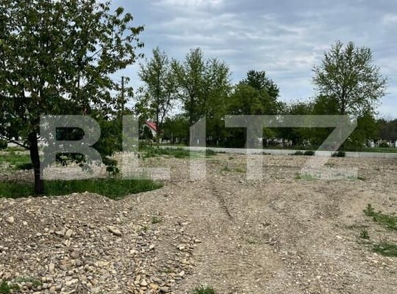 Teren de vânzare Fratautii Vechi - 151349TV | BLITZ Suceava | Poza3