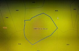 Teren extravilan 1.5 hectare, pretabil investitie, zona Salatruc , Vama 