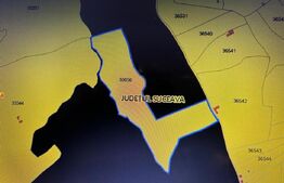 Teren extravilan 1.5 hectare, pretabil investitie, zona Salatruc , Vama 