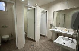 Spatiu comercial, 450 mp, periferie