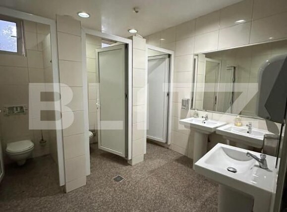 Spațiu comercial de închiriat Moara - 151463SIC | BLITZ Suceava | Poza11