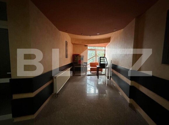 Spațiu comercial de închiriat Moara - 151463SIC | BLITZ Suceava | Poza8