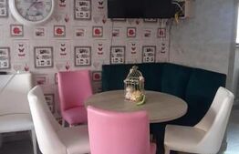 Spatiu comercial Premium, La Cheie, 320 mp, Ipotești