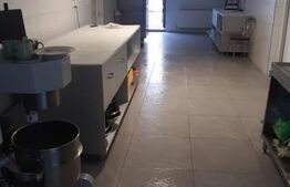 Spatiu comercial Premium, La Cheie, 320 mp, Ipotești