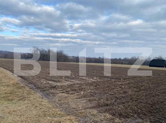 Teren de vânzare Horodnic - 151479TV | BLITZ Suceava | Poza3