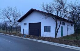 Casa si hala de vanzare, in Horodnic de Sus