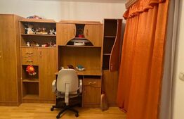 Casa si hala de vanzare, in Horodnic de Sus