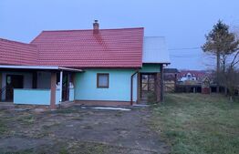 Casa si hala de vanzare, in Horodnic de Sus