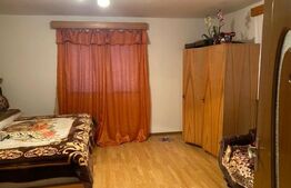 Casa si hala de vanzare, in Horodnic de Sus