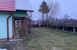 Casa si hala de vanzare, in Horodnic de Sus