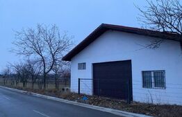 Casa si hala de vanzare, in Horodnic de Sus