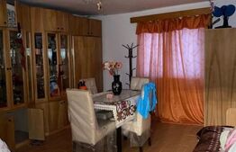 Casa si hala de vanzare, in Horodnic de Sus