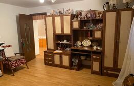 Casa si hala de vanzare, in Horodnic de Sus