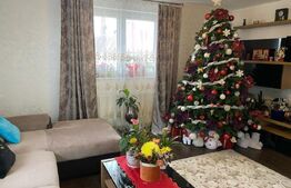 Casa 5 camere, 200mp, Radauti