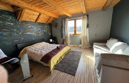 Casa individuala, in Costisa, Fratautii Noi