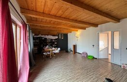 Casa individuala, in Costisa, Fratautii Noi