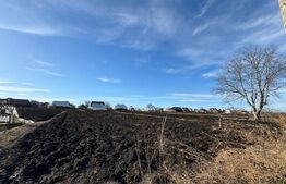 Casa individuala, in Costisa, Fratautii Noi