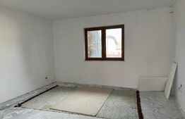 Casa individuala, in Costisa, Fratautii Noi