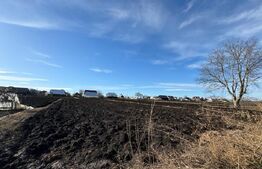 Casa individuala, in Costisa, Fratautii Noi