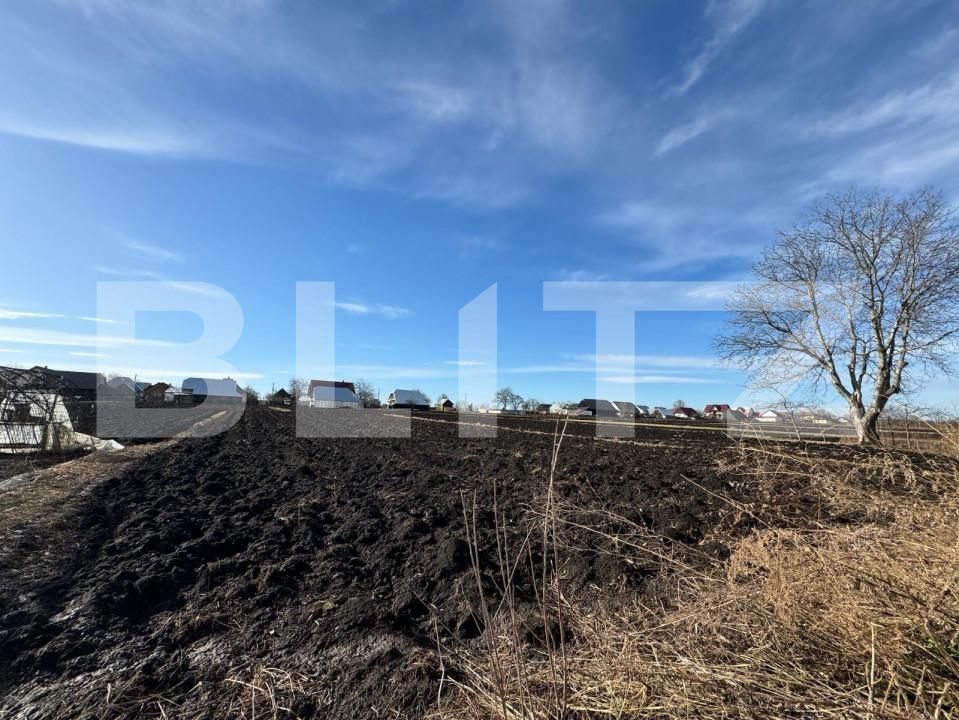 Casa de vânzare 6 camere Radauti - 151500CV | BLITZ Suceava | Poza13