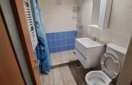 Apartament 2 camere, parter - zonă Centrală 