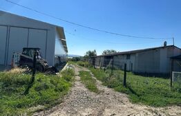 Hala cu teren , intravilan , 4700mp, Marginea - Radauti