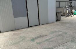 Hala cu teren , intravilan , 4700mp, Marginea - Radauti