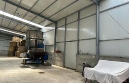 Hala cu teren , intravilan , 4700mp, Marginea - Radauti