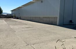 Hala cu teren , intravilan , 4700mp, Marginea - Radauti