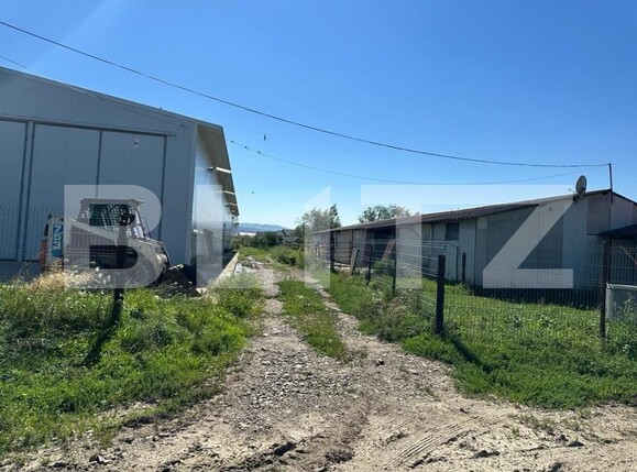 Spațiu industrial de vânzare Marginea - 151642SVI | BLITZ Suceava | Poza13