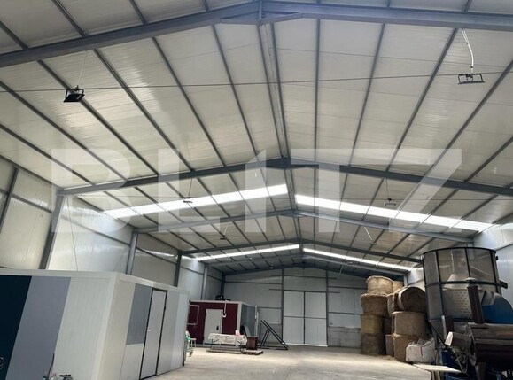 Spațiu industrial de vânzare Marginea - 151642SVI | BLITZ Suceava | Poza9