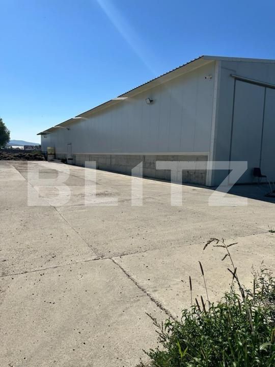 Spațiu industrial de vânzare Marginea - 151642SVI | BLITZ Suceava | Poza2