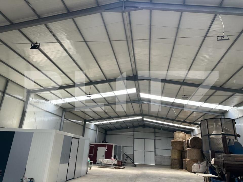 Spațiu industrial de vânzare Marginea - 151642SVI | BLITZ Suceava | Poza9