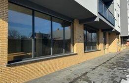 Spatiu comercial, 21mp, central, Radauti