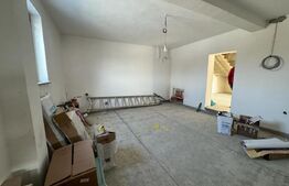 Casa si teren, Horodnic de Jos, Radauti, se accepta variante!