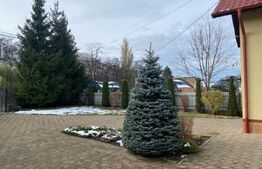 Casa de vânzare 3 camere Central - 144386CV | BLITZ Suceava | Poza5