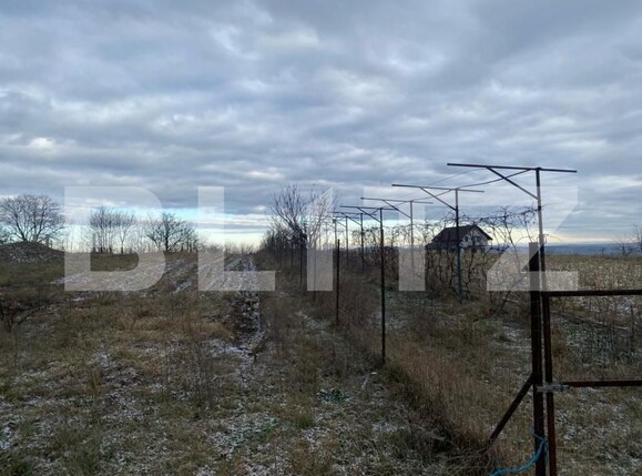 Teren de vânzare Siret - 151650TV | BLITZ Suceava | Poza3