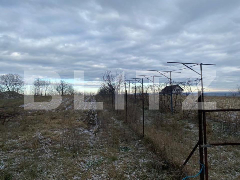 Teren de vânzare Siret - 151650TV | BLITZ Suceava | Poza3