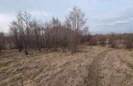 Teren intravilan, 6133mp, Horodnic de sus, posibilitate plata in rate