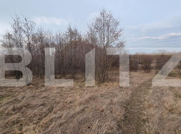 Teren de vânzare Horodnic - 151651TV | BLITZ Suceava | Poza6