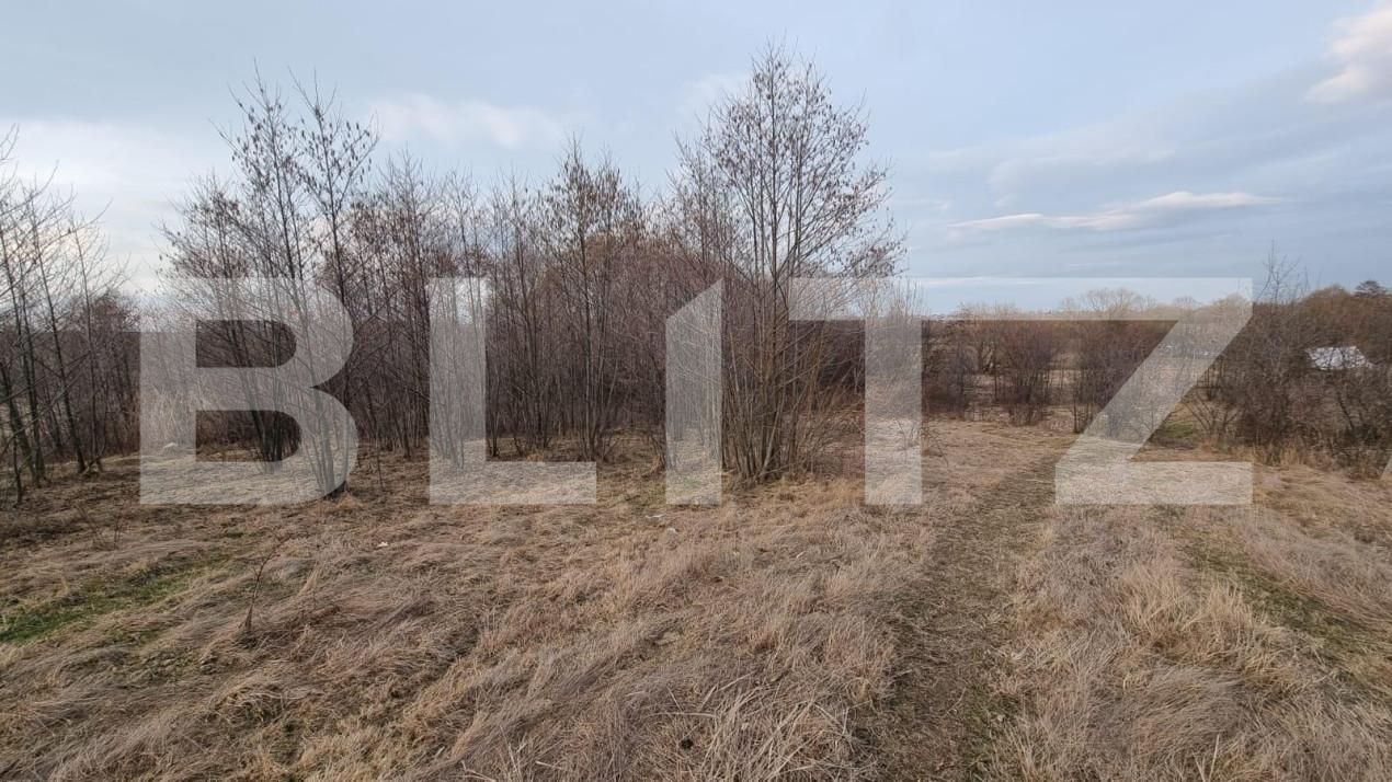 Teren de vânzare Horodnic - 151651TV | BLITZ Suceava | Poza6