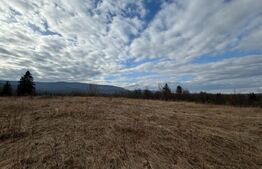 Teren intravilan, Hardic , cu proiect pentru accesare de fonduri europene!