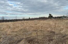 Teren intravilan, Hardic , cu proiect pentru accesare de fonduri europene!