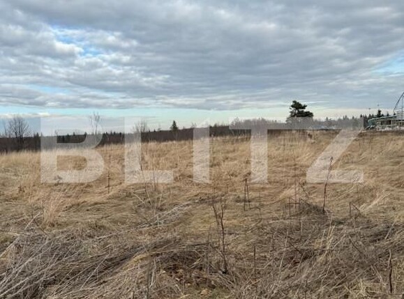 Teren de vânzare Marginea - 151652TV | BLITZ Suceava | Poza2