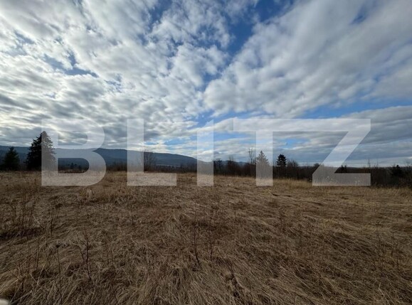 Teren de vânzare Marginea - 151652TV | BLITZ Suceava | Poza6