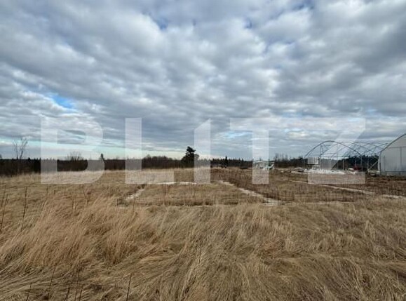 Teren de vânzare Marginea - 151652TV | BLITZ Suceava | Poza1