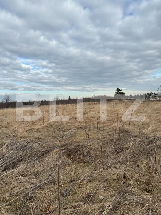 Teren de vânzare Marginea - 151652TV | BLITZ Suceava | Poza2