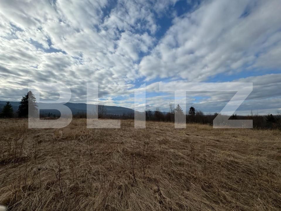 Teren de vânzare Marginea - 151652TV | BLITZ Suceava | Poza6