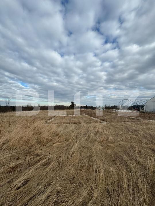 Teren de vânzare Marginea - 151652TV | BLITZ Suceava | Poza1